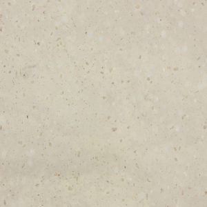 Sand Dollar